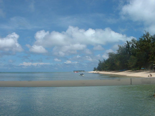 �L�Q�P�C�Ƃ̕�炵