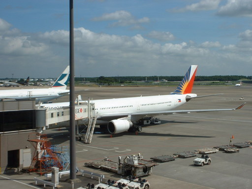 �L�Q�P�C�Ƃ̕�炵