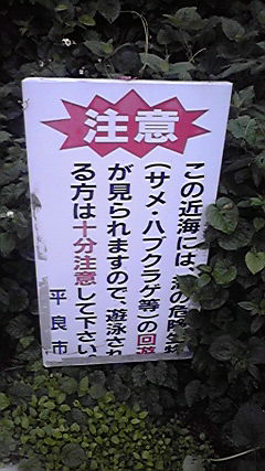 LQPCƂ̕炵