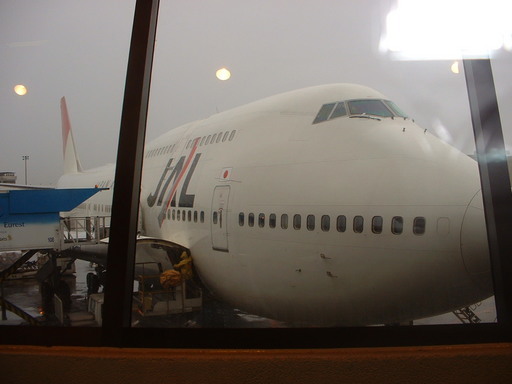 �L�Q�P�C�Ƃ̕�炵