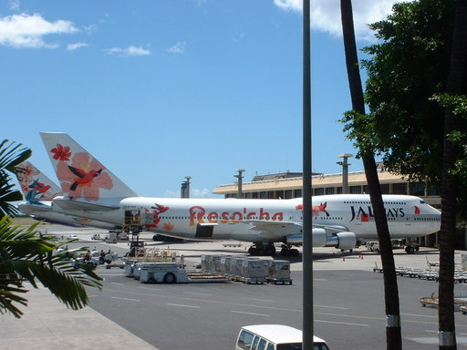 �L�Q�P�C�Ƃ̕�炵