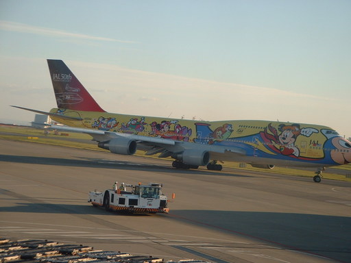 �L�Q�P�C�Ƃ̕�炵