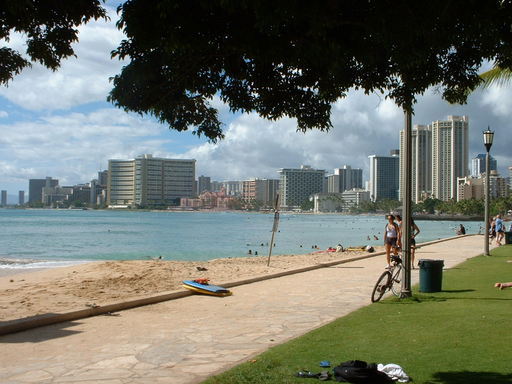 �L�Q�P�C�Ƃ̕�炵