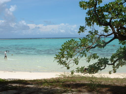 �L�Q�P�C�Ƃ̕�炵