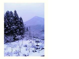 �L�Q�P�C�Ƃ̕�炵