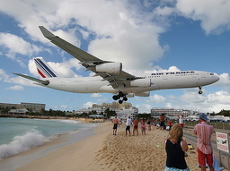 �L�Q�P�C�Ƃ̕�炵