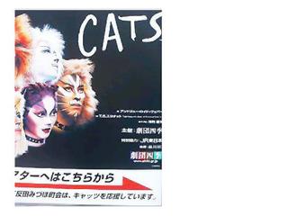 �L�Q�P�C�Ƃ̕�炵