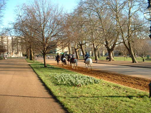 �L�Q�P�C�Ƃ̕�炵