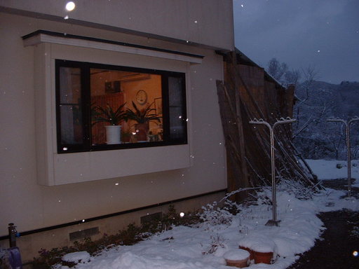 �L�Q�P�C�Ƃ̕�炵