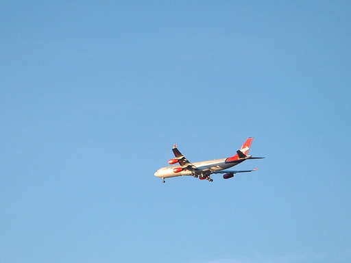 �L�Q�P�C�Ƃ̕�炵