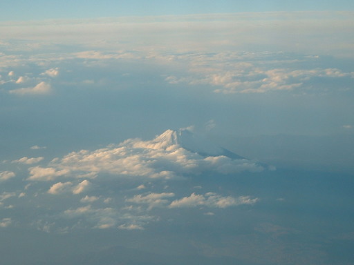 �L�Q�P�C�Ƃ̕�炵