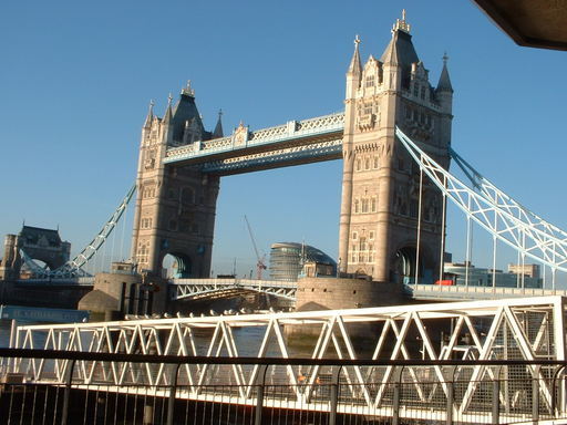 �L�Q�P�C�Ƃ̕�炵