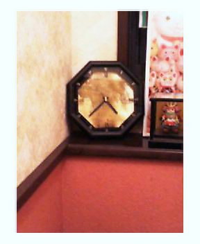 �L�Q�P�C�Ƃ̕�炵