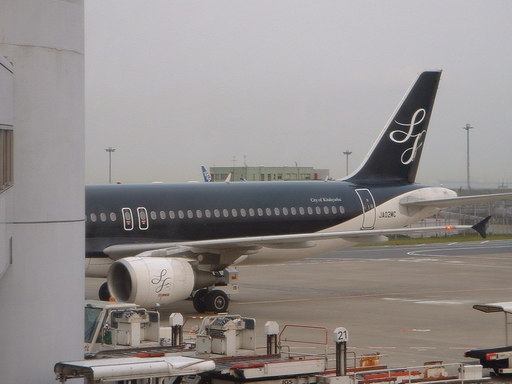 �L�Q�P�C�Ƃ̕�炵