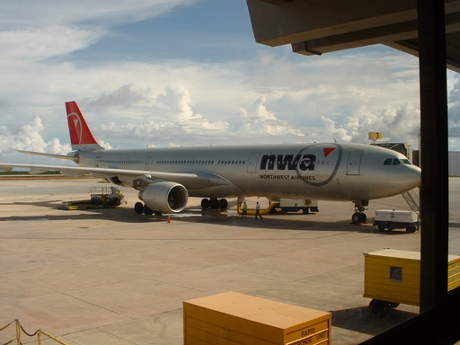 �L�Q�P�C�Ƃ̕�炵