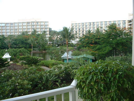 �L�Q�P�C�Ƃ̕�炵