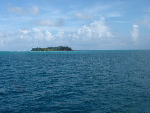 �L�Q�P�C�Ƃ̕�炵