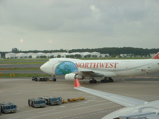 �L�Q�P�C�Ƃ̕�炵