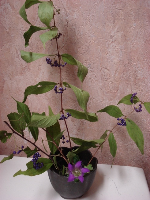 �H�y�z���i����ӂƁj�ȓ��X