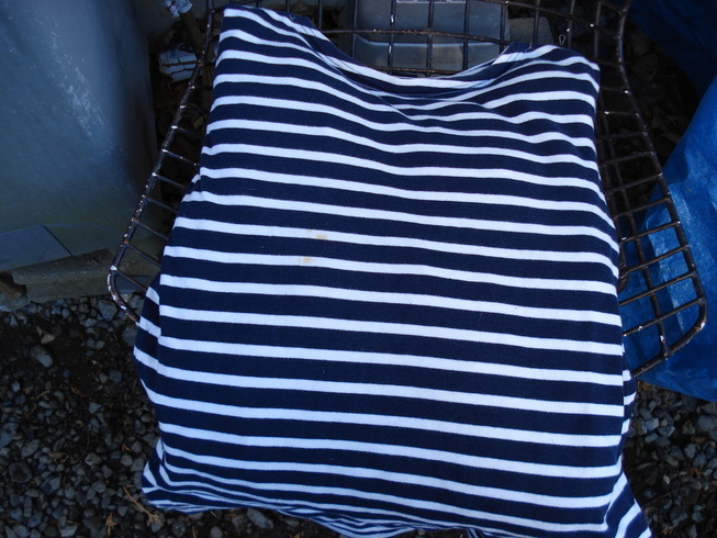 �H�y�z���i����ӂƁj�ȓ��X