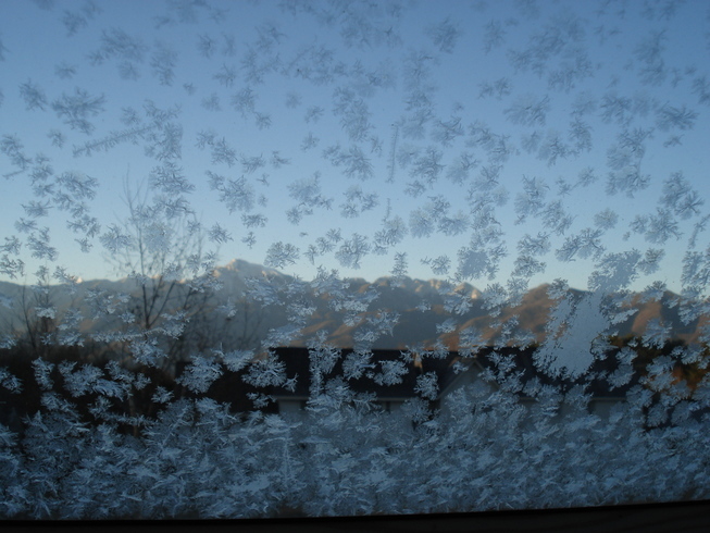 �H�y�z���i����ӂƁj�ȓ��X