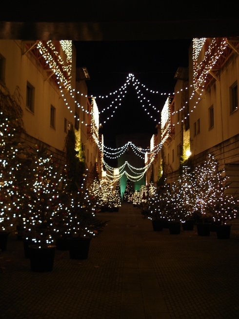 �H�y�z���i����ӂƁj�ȓ��X