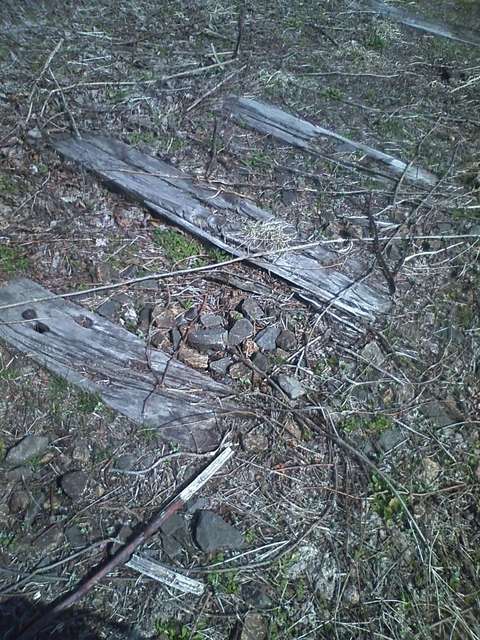 �H�y�z���i����ӂƁj�ȓ��X