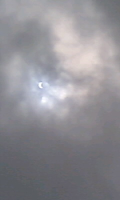 �H�y�z���i����ӂƁj�ȓ��X