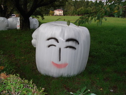 �H�y�z���i����ӂƁj�ȓ��X