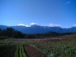 �H�y�z���i����ӂƁj�ȓ��X