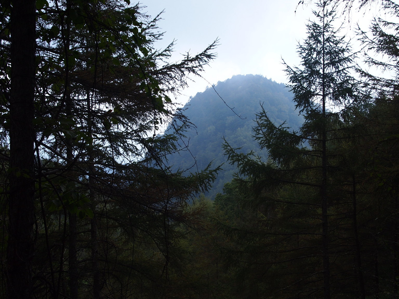 �H�y�z���i����ӂƁj�ȓ��X