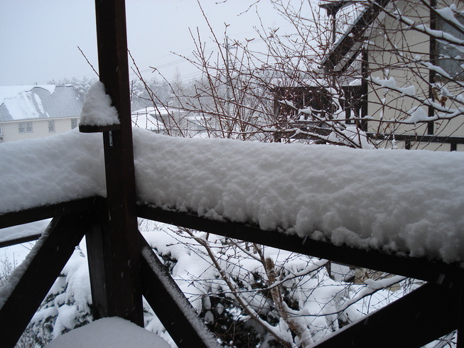 �H�y�z���i����ӂƁj�ȓ��X