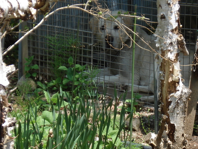 �H�y�z���i����ӂƁj�ȓ��X