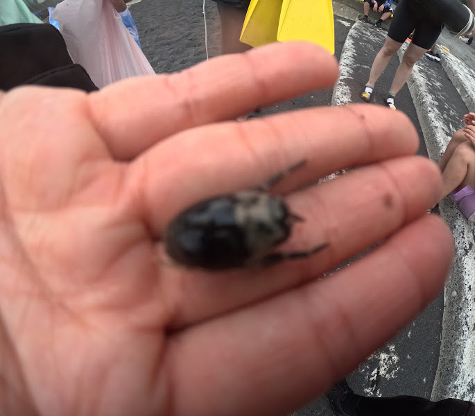 ���v�������߂��āE�E�E1�i���䓇�̊C�ɐ��ރQ���S���E�j�i�⑹�́u�ł��������ނ肠���悤�I�I�v�j