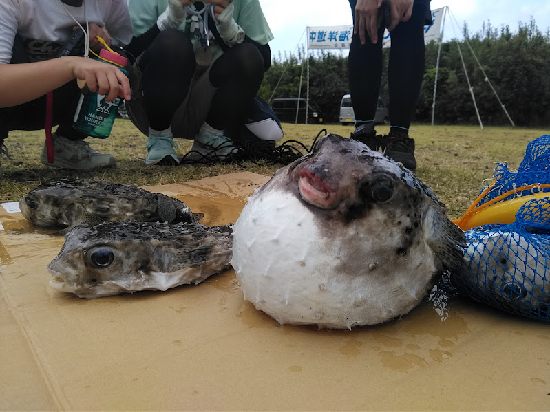 ���v�������߂��āE�E�E�R�i��Â��݂Ŋl�����ǁ`���I�I�j�i�⑹�́u�ł��������ނ肠���悤�I�I�v�j