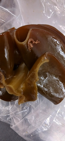 ���߂Đ����Ă�A���������I�I�i�⑹�́u�ł��������ނ肠���悤�I�I�v�j