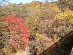 �����N�i�̉����U���߂����E�L�����ɓX