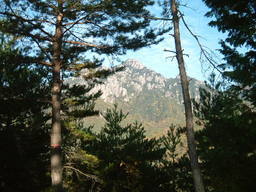 �����N�i�̉����U���߂����E�L�����ɓX