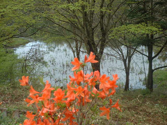 �����N�i�̉����U���߂����E�L�����ɓX