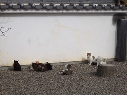 �����N�i�̉����U���߂����E�L�����ɓX