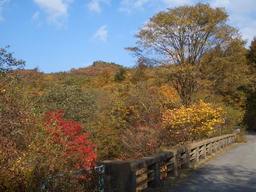 �����N�i�̉����U���߂����E�L�����ɓX