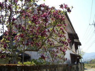 �����N�i�̉����U���߂����E�L�����ɓX