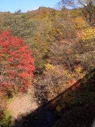 �����N�i�̉����U���߂����E�L�����ɓX