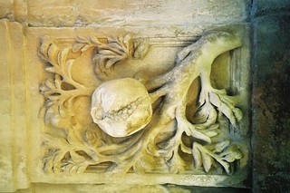 �����N�i�̉����U���߂����E�L�����ɓX