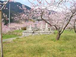 �����N�i�̉����U���߂����E�L�����ɓX