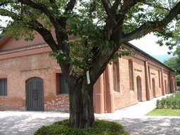 �����N�i�̉����U���߂����E�L�����ɓX