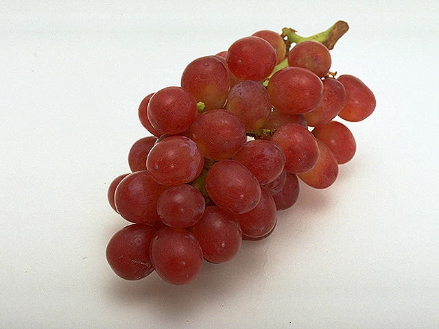 �����N�i�̉����U���߂����E�L�����ɓX