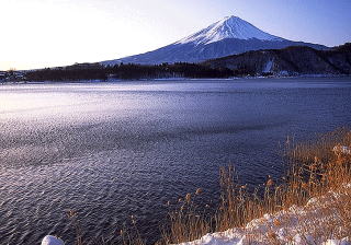 �����N�i�̉����U���߂����E�L�����ɓX