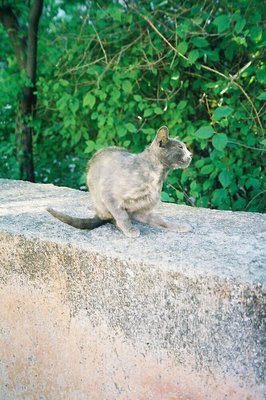 NỉU߂ELɓX