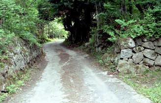 NỉU߂ELɓX